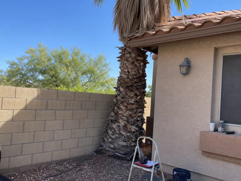 Rodent Control gallery