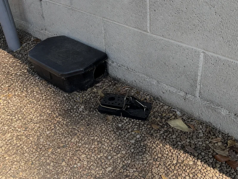 Rodent Control gallery