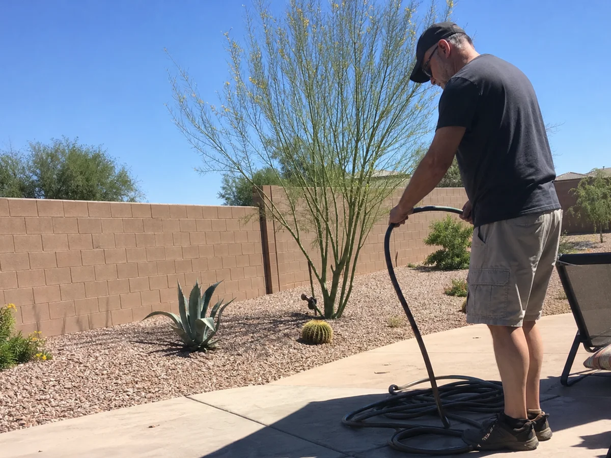 Phoenix desert backyard