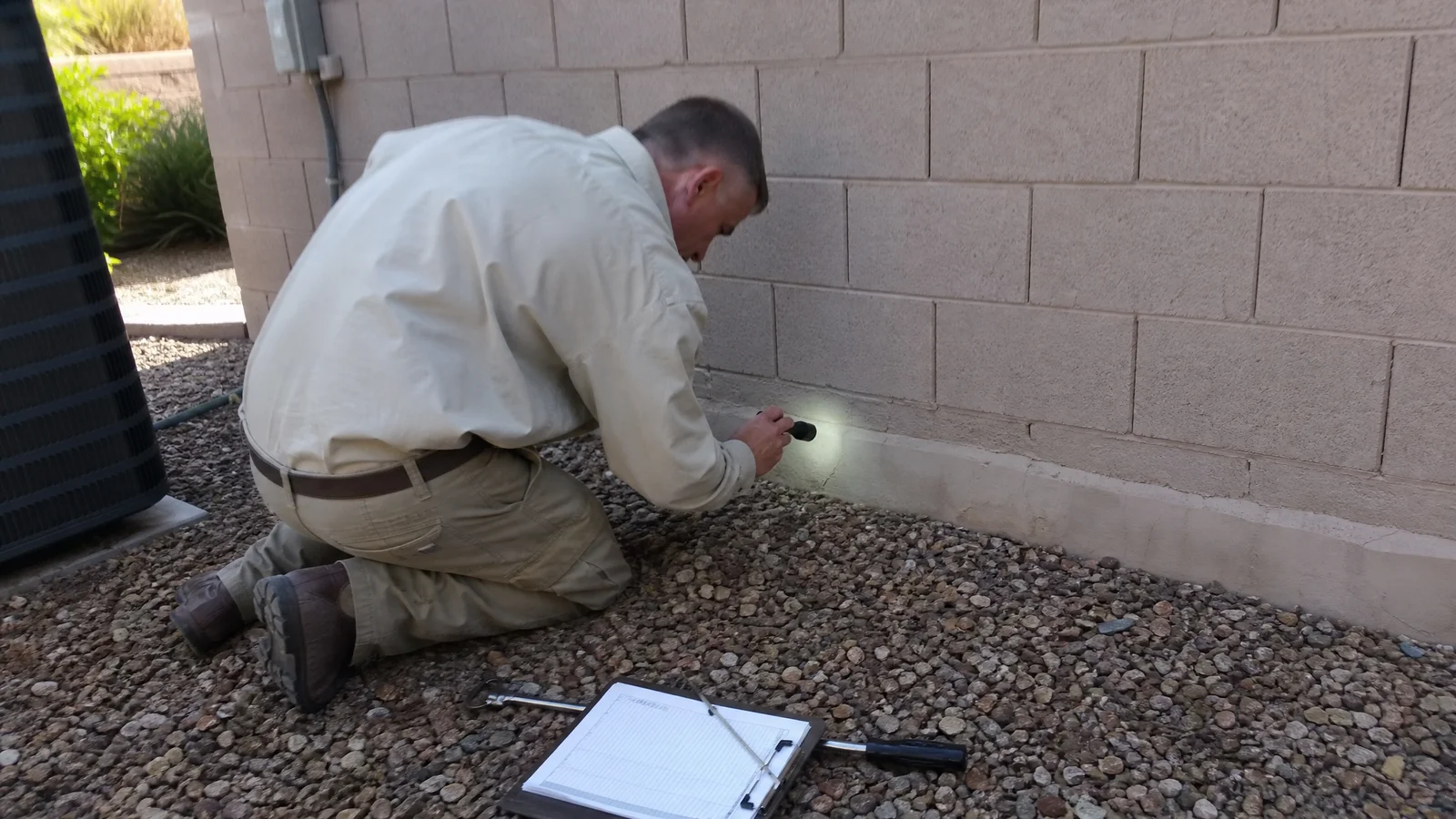 Termite Control